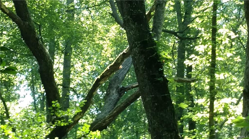 0 River Road - Photo 1