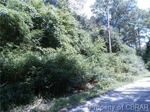 0 Piney Swamp Road - Photo 1