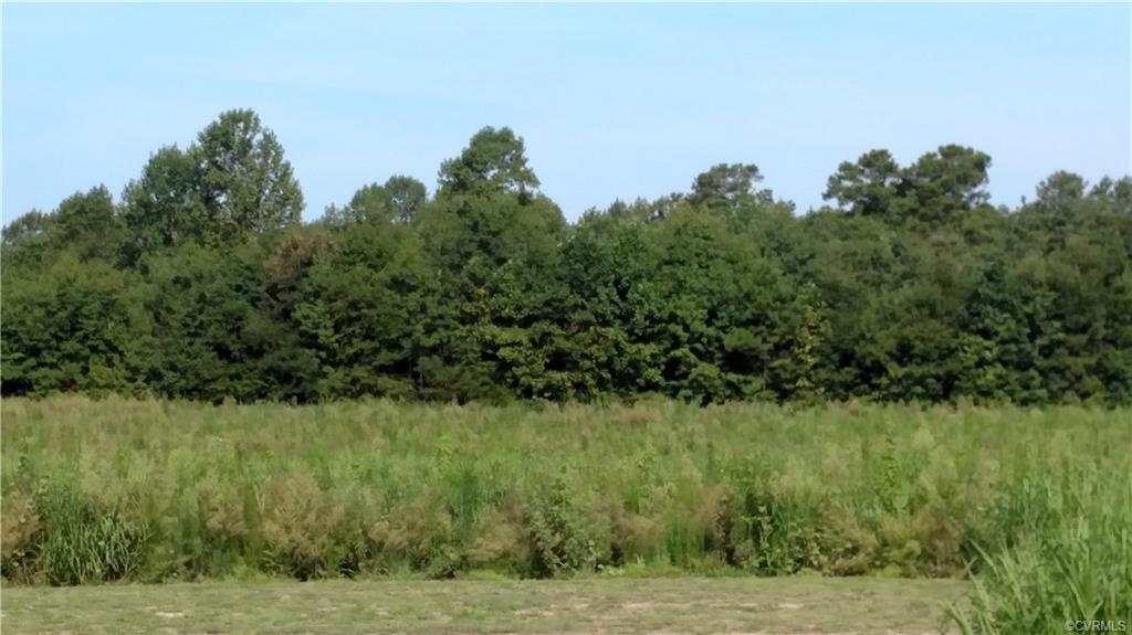 003 Arwood Road - Photo 1