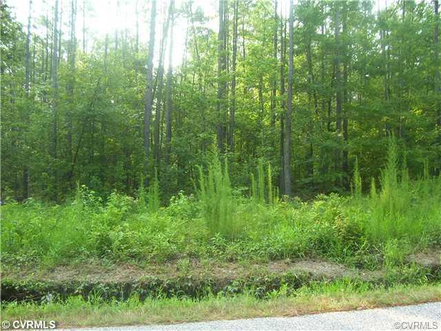 0000 Lebanon Road - Photo 1