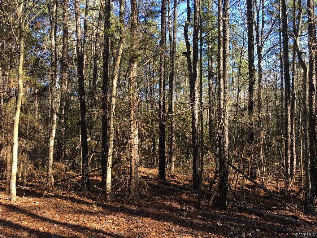 8801 Turnerville Road - Photo 1