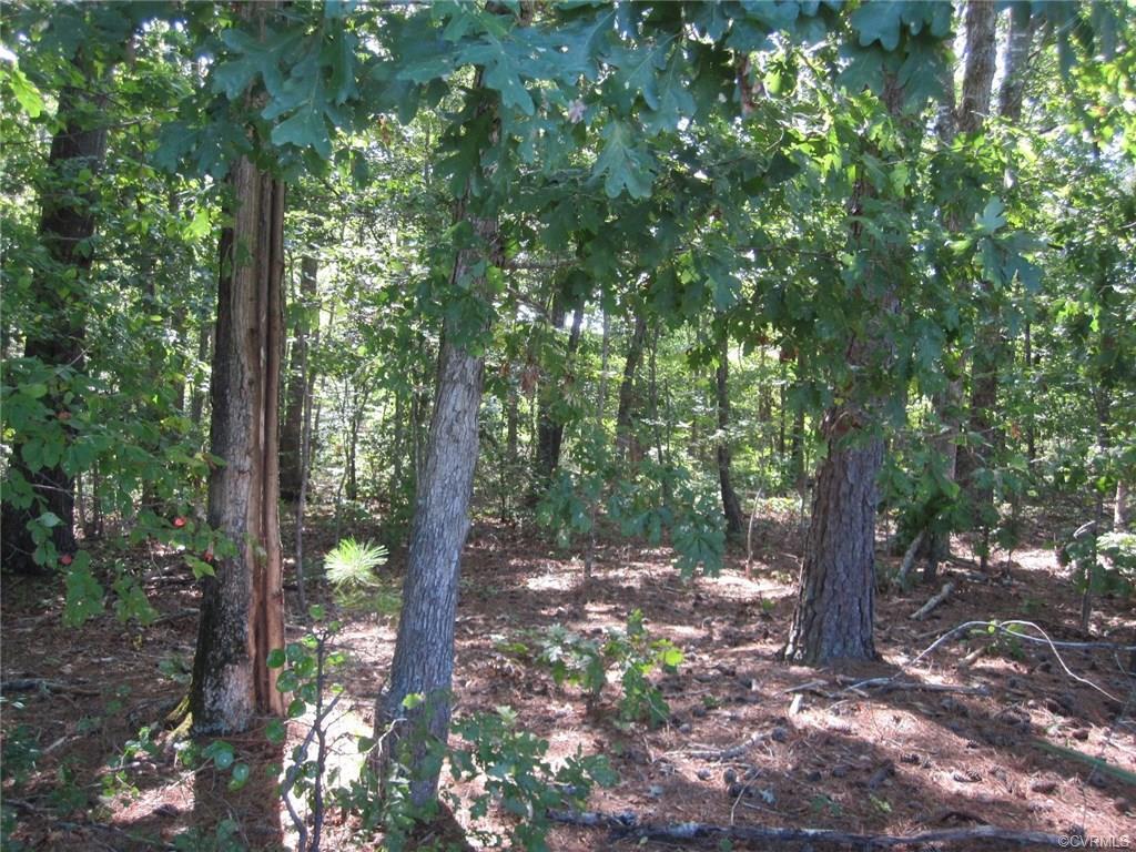 0000 South Hill Road - Photo 1