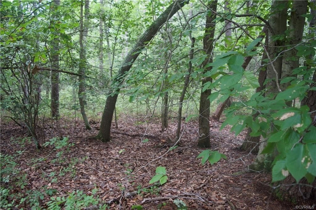 45 Diascund Reservoir - Photo 1