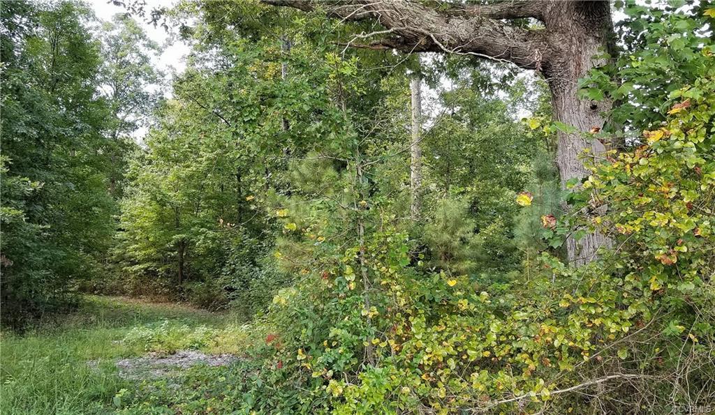 0 Oak Grove Loop - Photo 1