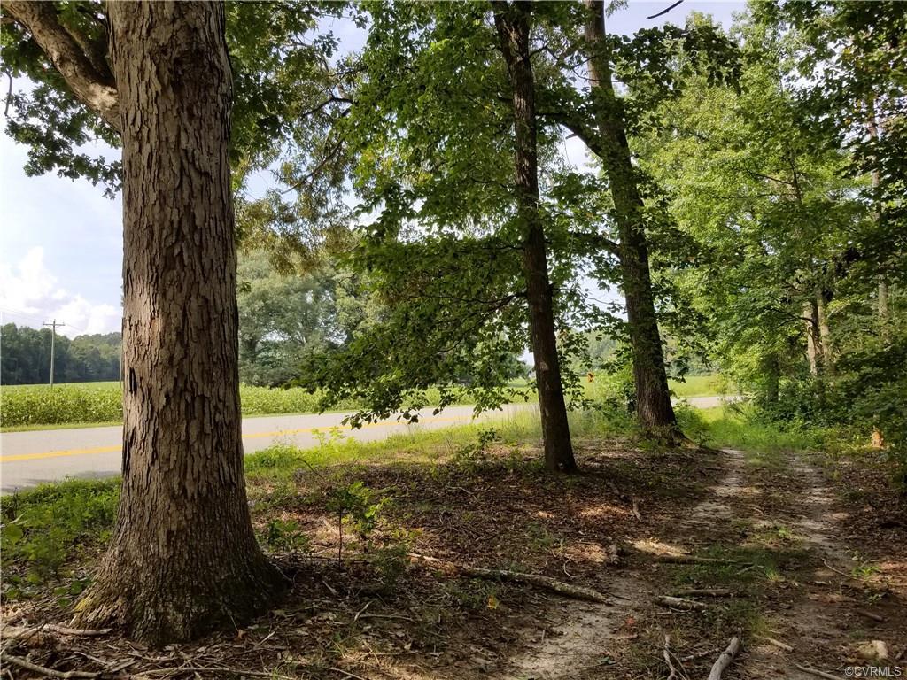 6.644 Acres Mt. Zion Road - Photo 1