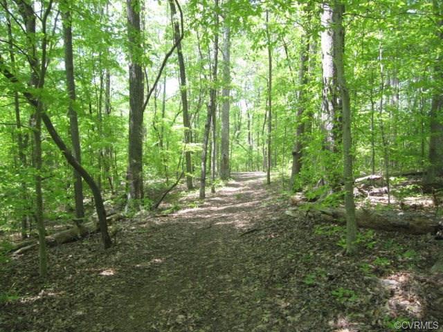 0 Taylor Ferry Road - Photo 1