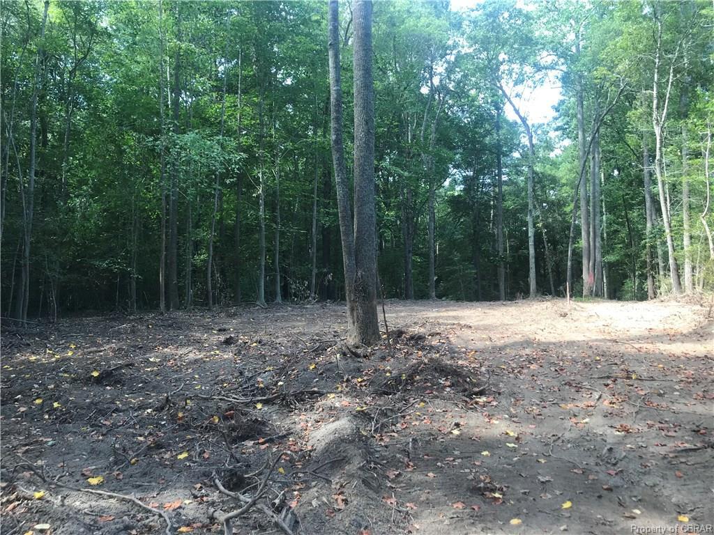 0 Horseshoe Lane - Photo 1
