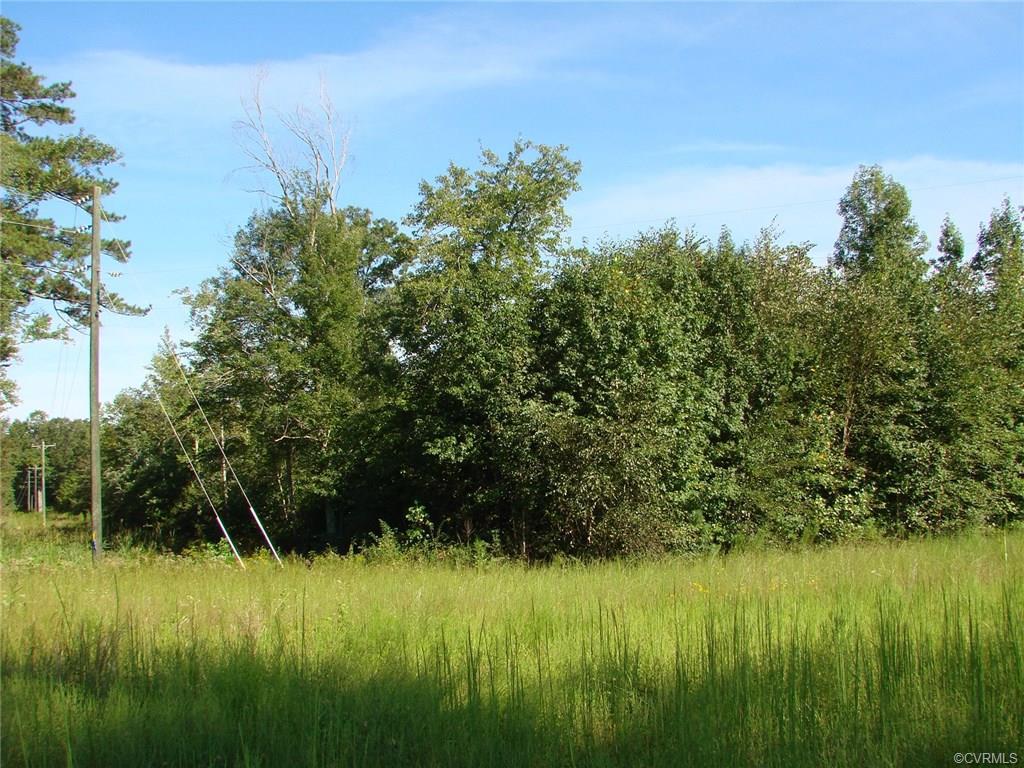 9.9 acres James River Drive - Photo 1