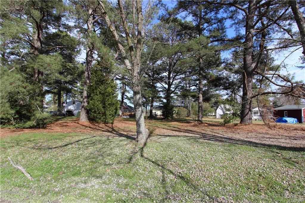 0 Eagle Road - Photo 1