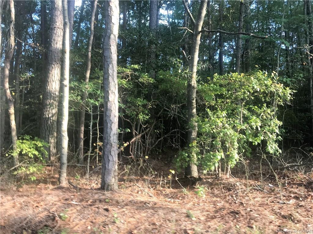 0 Horn Harbor Avenue - Photo 1