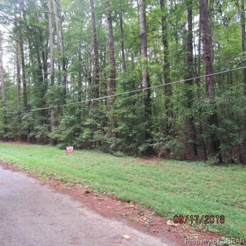 00 Ray Brown Jr Lane - Photo 1