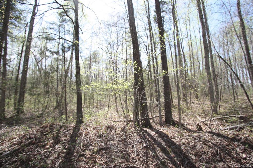 Lot 5 Youngstown Road - Photo 1