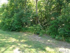 4531 Chippoke Road - Photo 1
