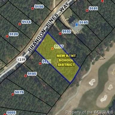 5137 Brandon Pines Way - Photo 1