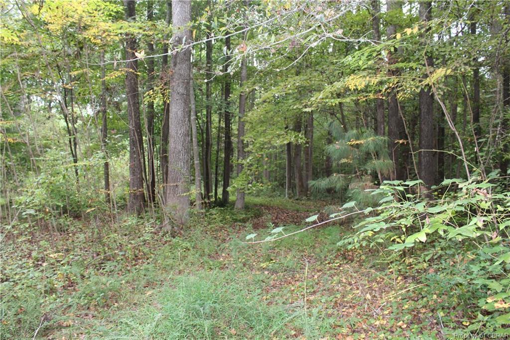 13 Glenwood Drive - Photo 1