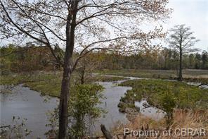 7404 Oak Landing Court - Photo 1