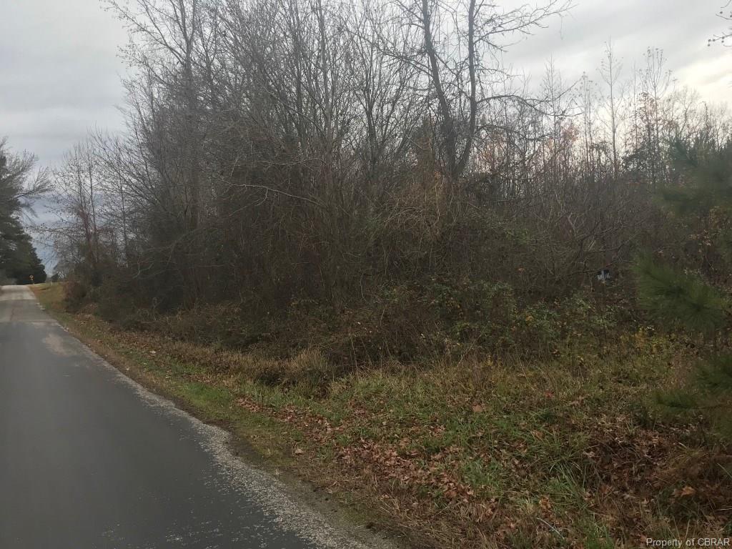 0 Gum Fork Road - Photo 1