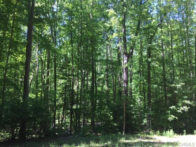 Lot 6 Avalon Woods Road - Photo 1