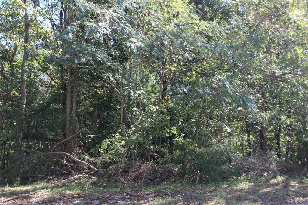 lot 9 & 10 Noblin - Photo 1