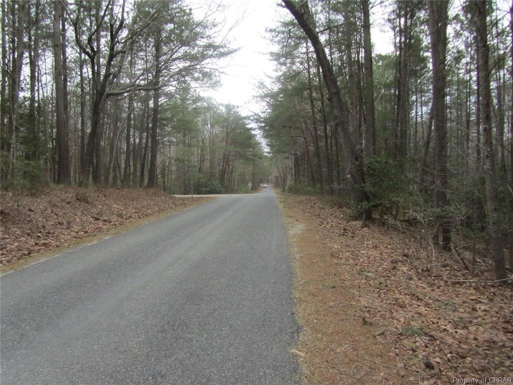 Lot 74E2 Buzzards Neck Road - Photo 1