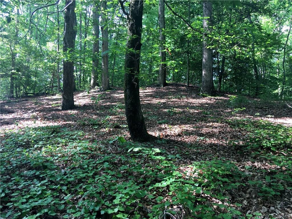0 Walkerton - Photo 1