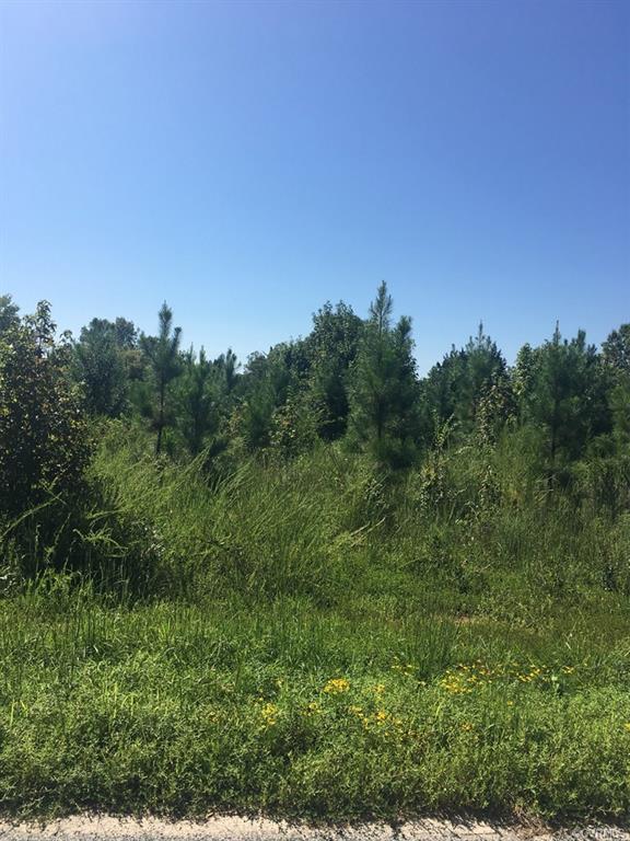 541 Kinsey Talley Road - Photo 1