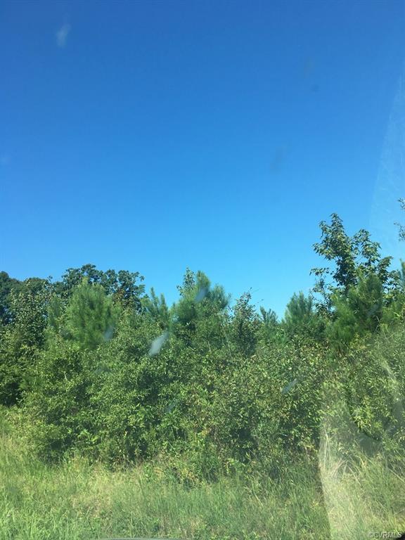 541-A Kinsey Talley Road - Photo 1