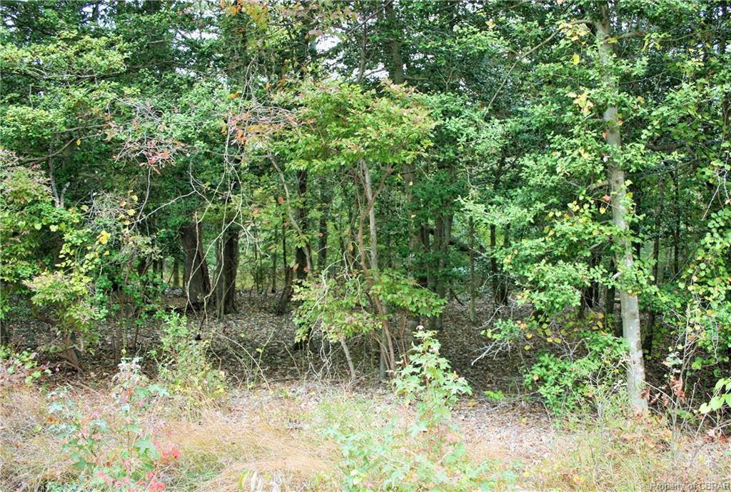 00 Little Bay Road - Photo 1