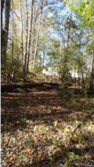 7585 Jerusalem Plank Road - Photo 1