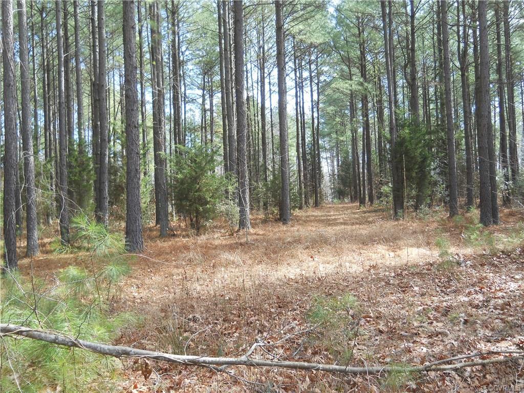 0 Ivondale Road - Photo 1