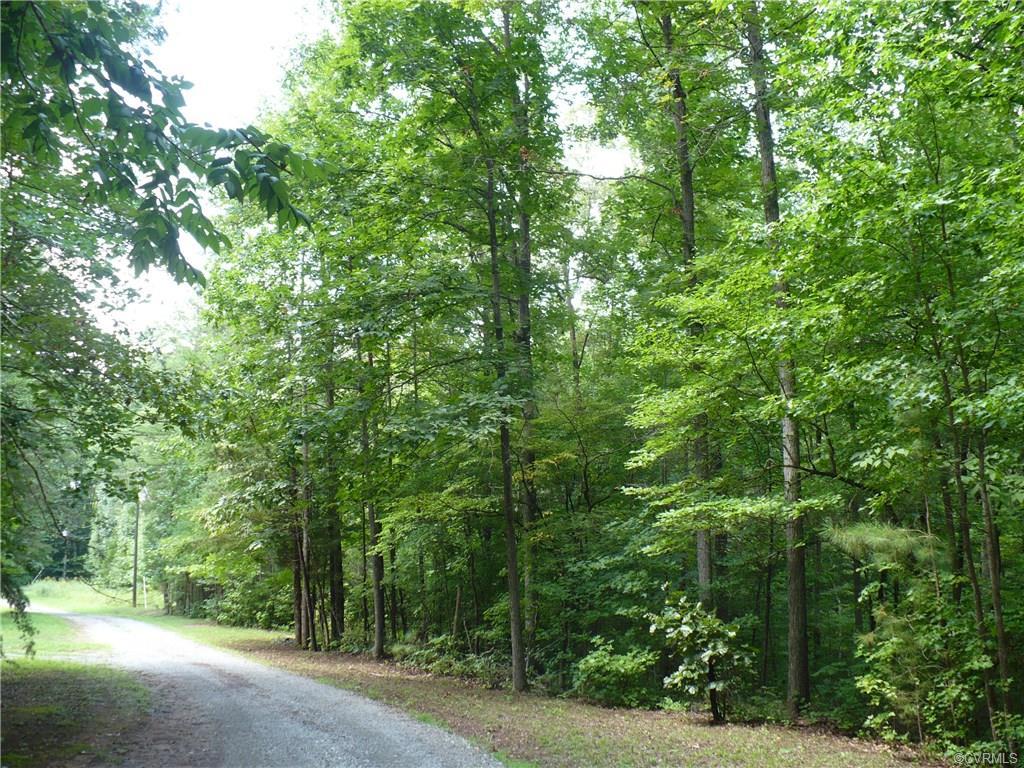 0 Dixie Hollow - Photo 1 0 Dixie Hollow - Photo 1