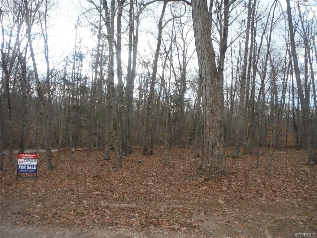 0 Shannon Road - Photo 1