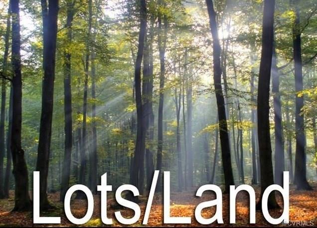 5 Acres Promise Land Road - Photo 1