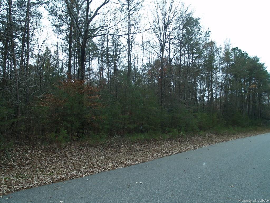 Lot 22 Elizabeth Curtis Lane - Photo 1