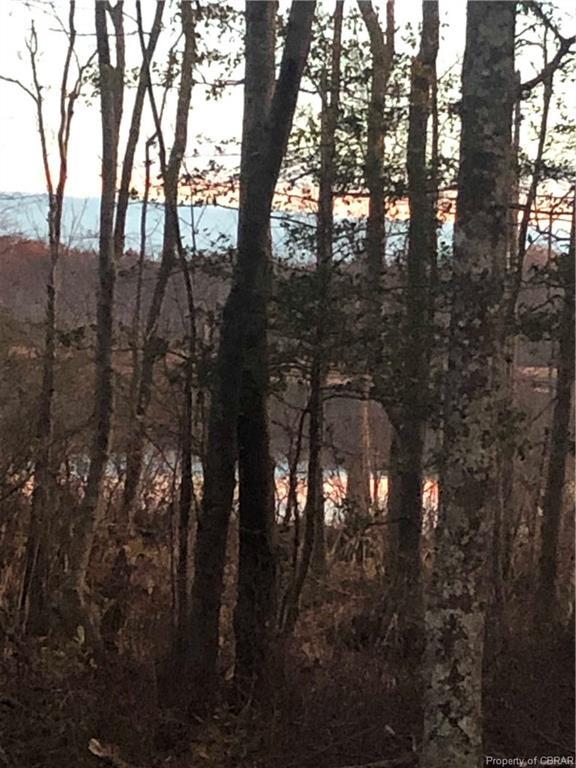0 Frazier Ferry Road - Photo 1