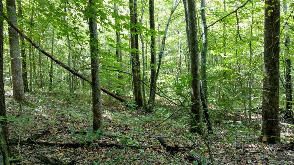 0 Sandy Hook Road - Photo 1