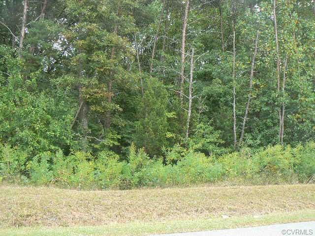 0 Simms Road - Photo 1