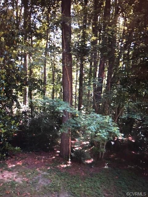 12581 Brook Lane - Photo 1