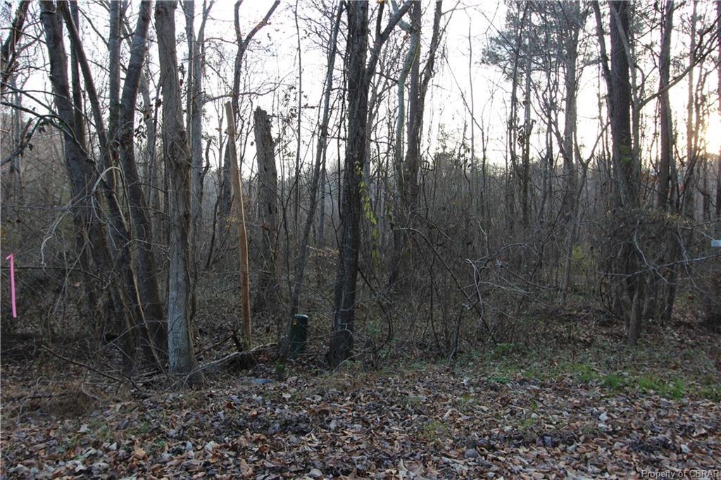 00 Deer Run Drive - Photo 1