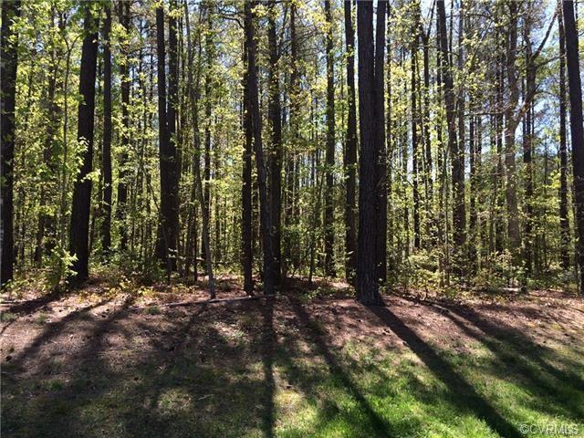 13437 River Otter Road - Photo 1