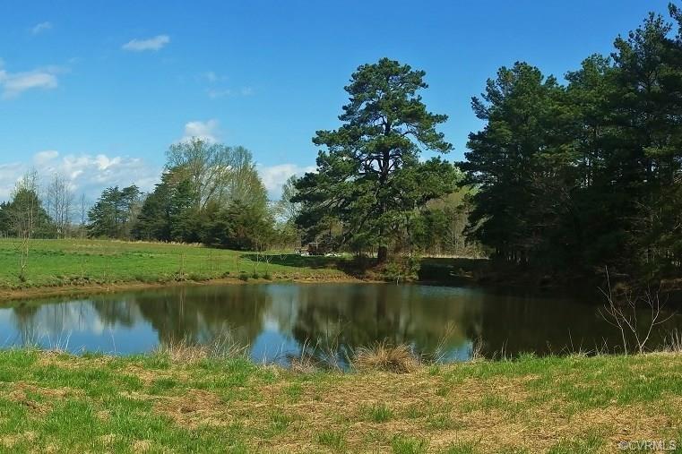 10.67 Acres S Genito Road - Photo 1