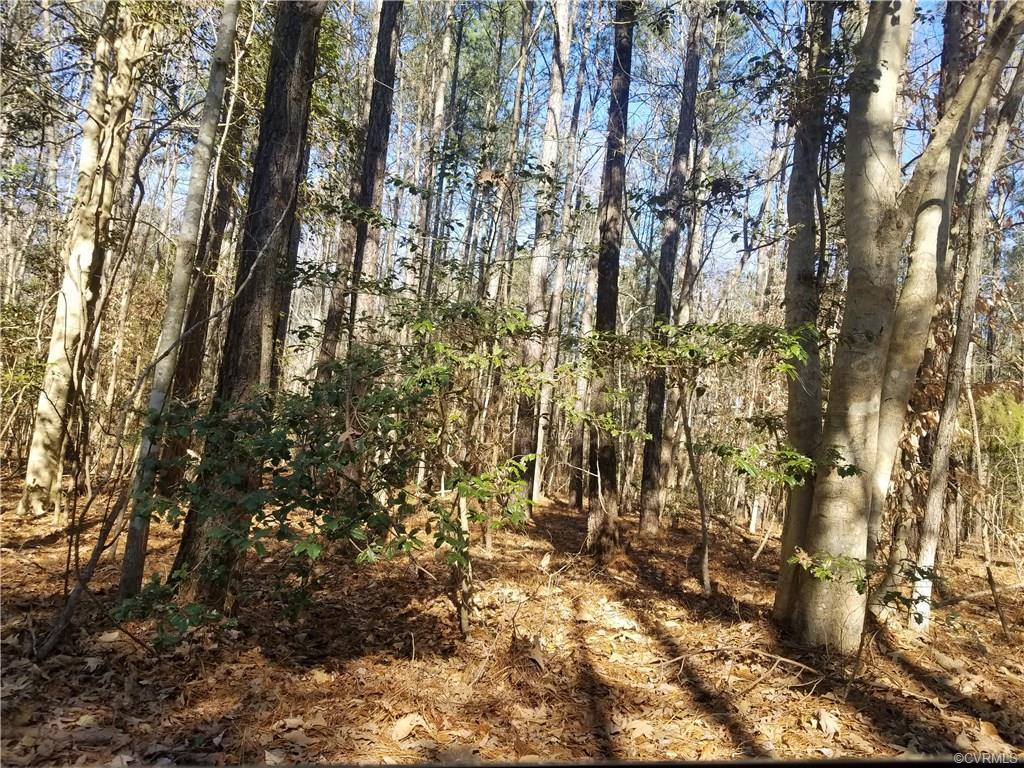 TBD Cool Hill Road - Photo 1