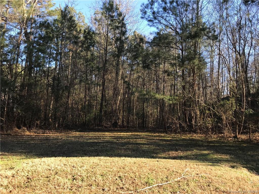 00 Elizabeth Curtis Lane - Photo 1