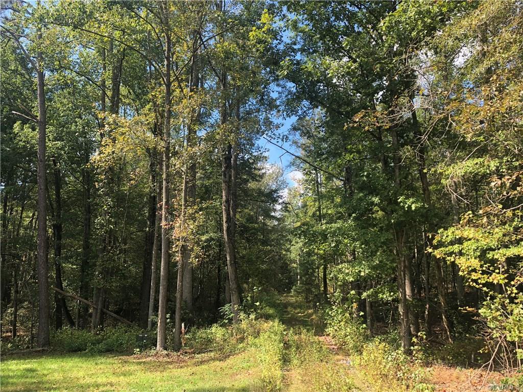 0 Cedar Fork Road - Photo 1