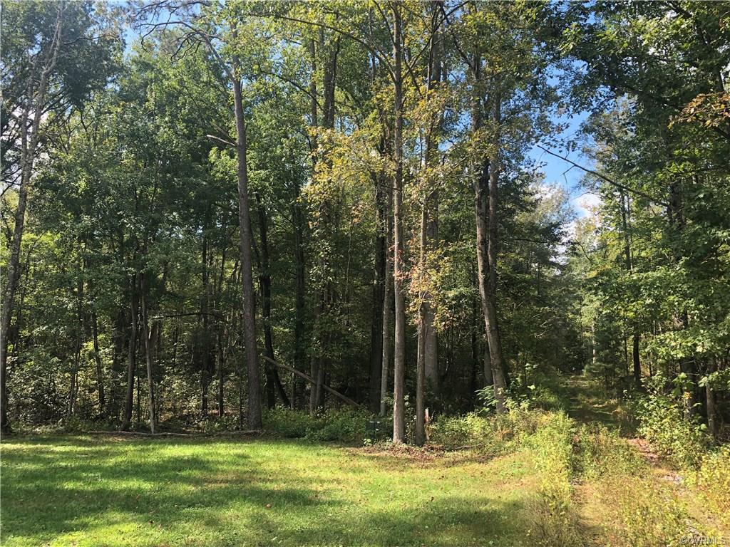 0 Cedar Fork Road - Photo 1