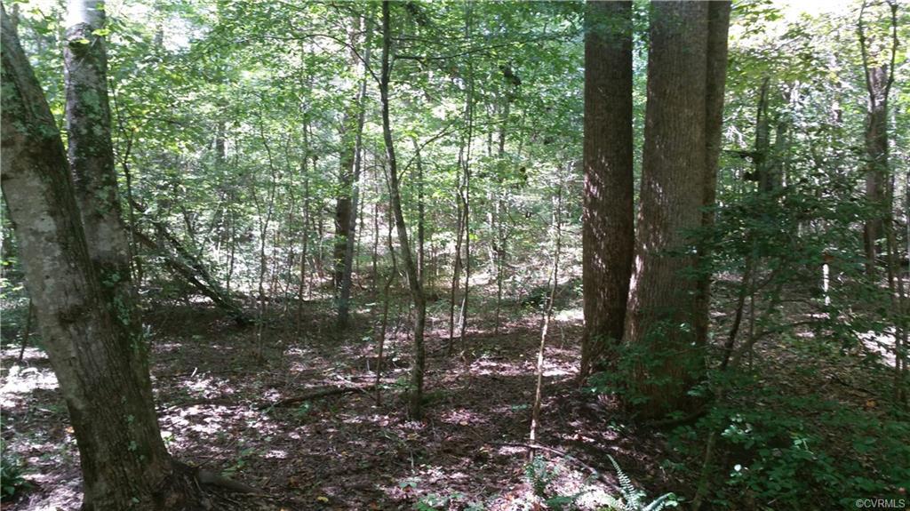 2.59 Acres Bent Creek Road - Photo 1