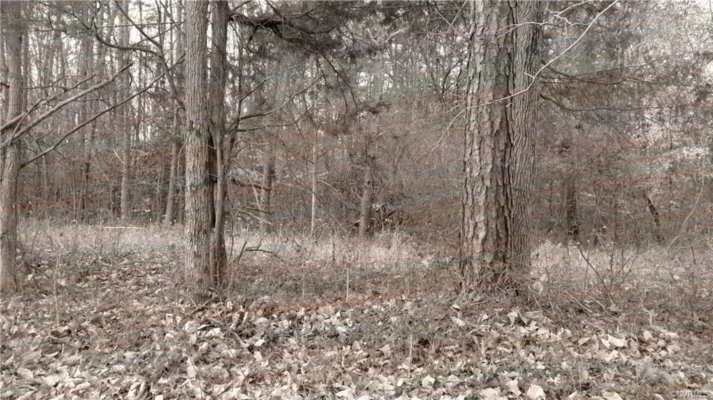 0 Hermitage Road - Photo 1