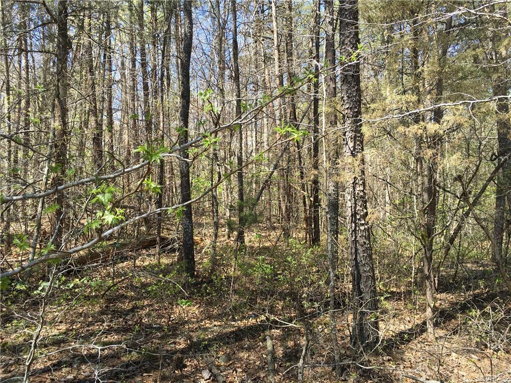 0 Holly Grove Ct. - Photo 1