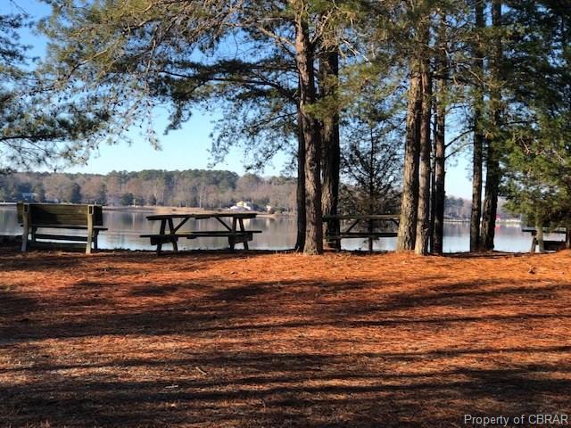 13 Scoggins Creek Trail - Photo 1