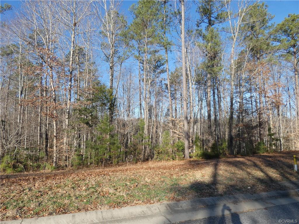 12406 Duntrune Court - Photo 1
